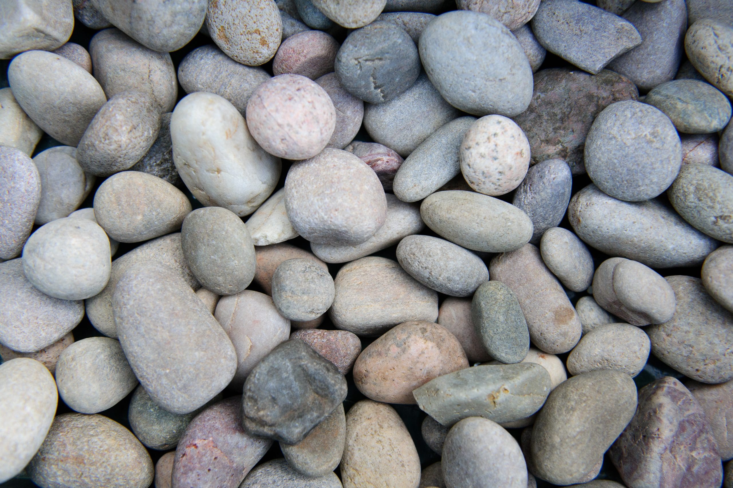 Dry