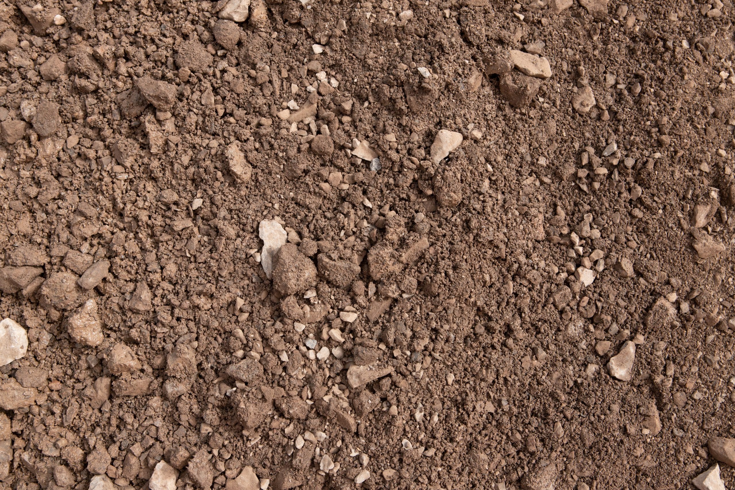 6I Primary.