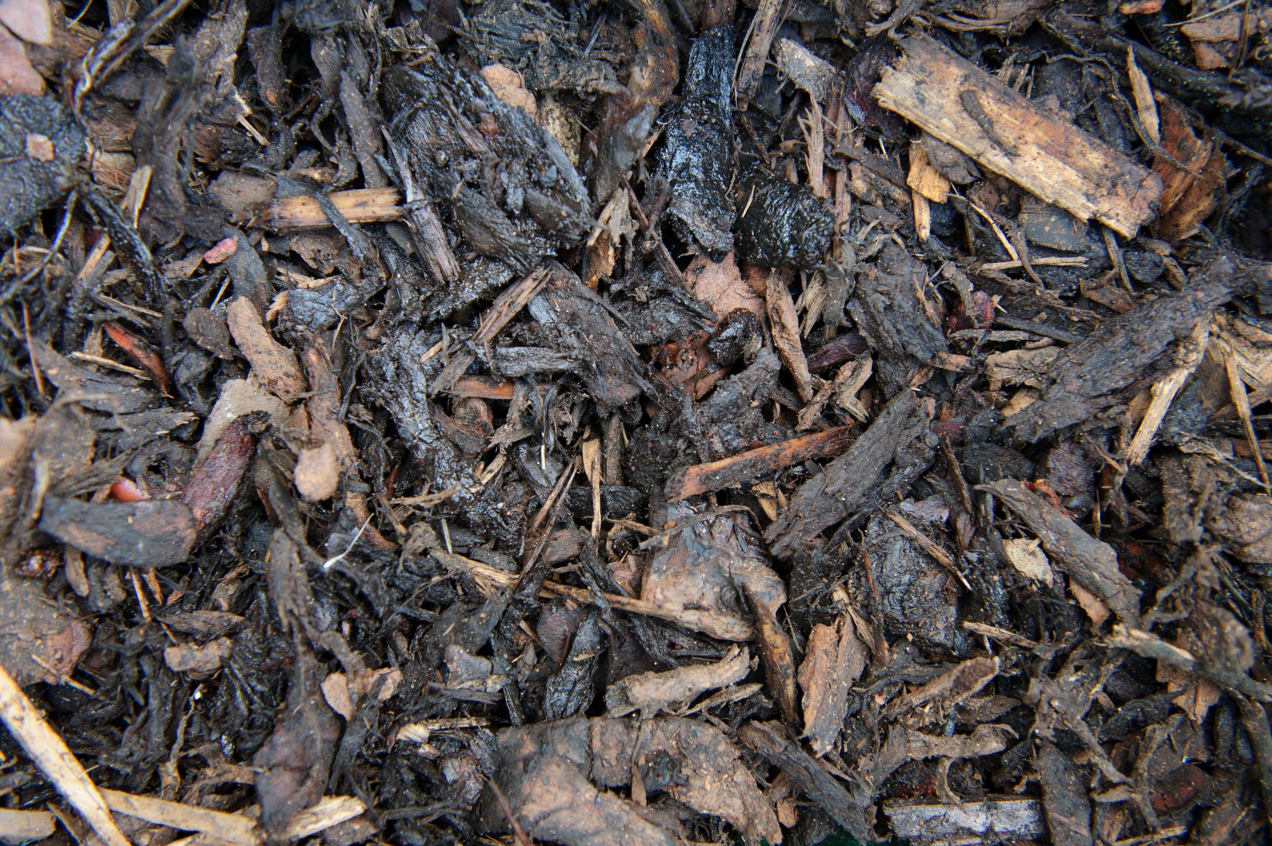Ornamental Bark.